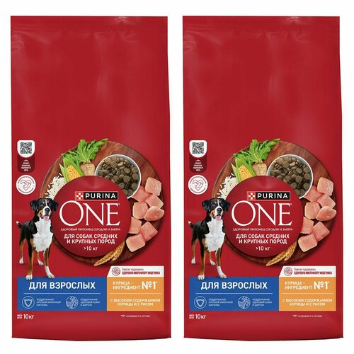   210 Purina One 10              10    -     , -  