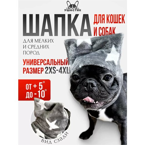 ���� ����� ��� �������� 