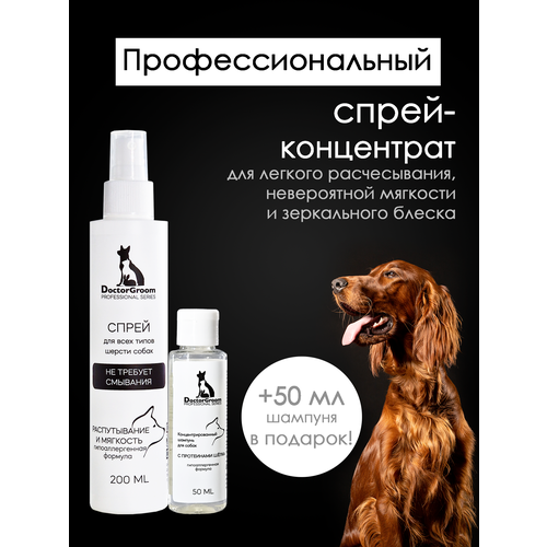           Doctor Groom,     , 200    -     , -  