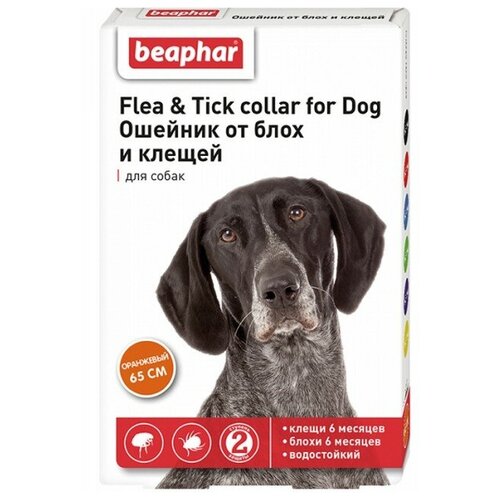  Beaphar      Flea & Tick.    , 65 ,  1 .,  