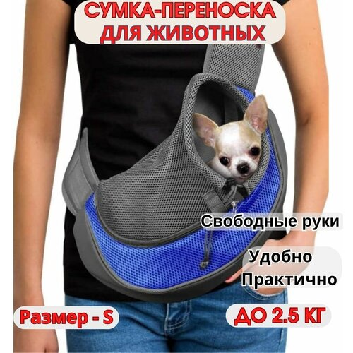 ���� ����� ��� ����� ������ ����� �� 2,5 �� / ��������� ��� ��������� ����� / ����� ��� ����� ������ ����� - ������ - S, ������ ������