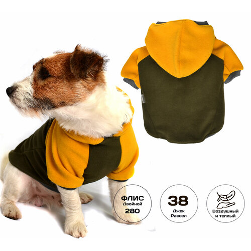 ���� ���� ��� ����� Mini Zodiac ������ ���� ������ ������ (38 ������, ����), ������ ������