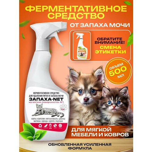 ���� ������������� ������ �������� ���� �� ������ VIP ���������, ������ ������