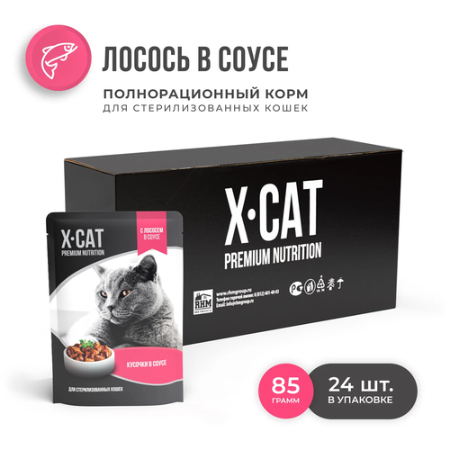  X-CAT        ,  , 24  85   -     , -,   