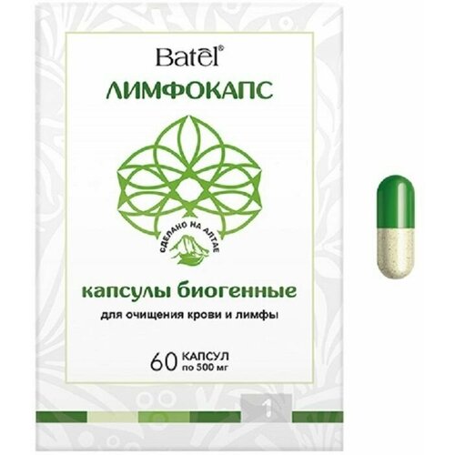 ���� ��������� ������� �������� ����� � ����� 60 ����, ������ ������