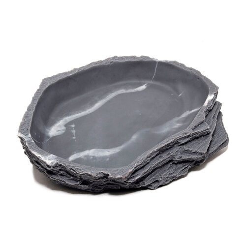 ���� ��������-������ ��� �������� LUCKY REPTILE 