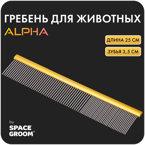       Alpha 25 ,       , Space Groom,   3,5    -     , -  