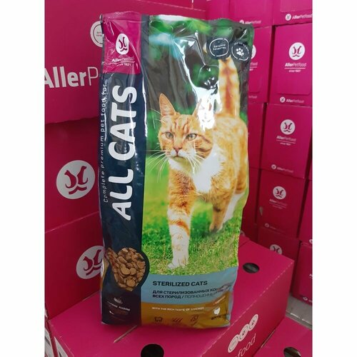       All Cats  , 2.4.   -     , -  