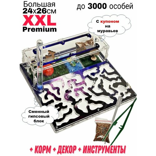     XXL Premium 24*26      -     , -  