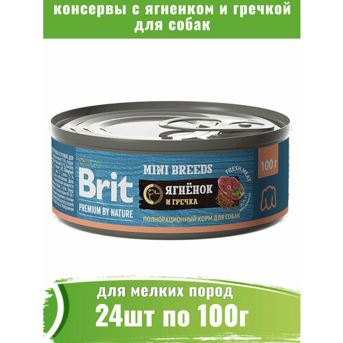  Brit Premium 24  100     ,       -     , -  