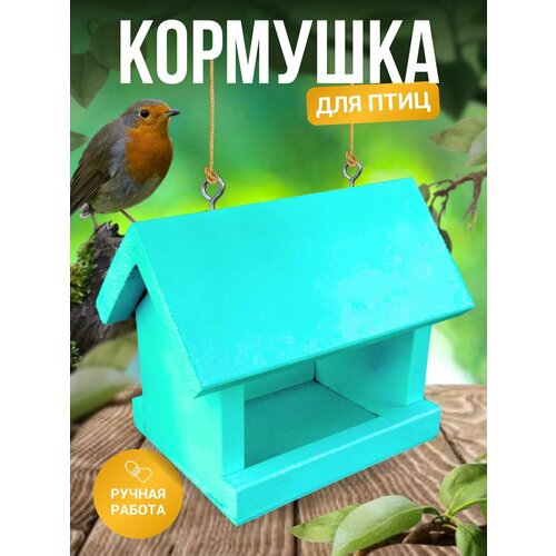 ���� �������� ��� ���� ���������, ������ ������