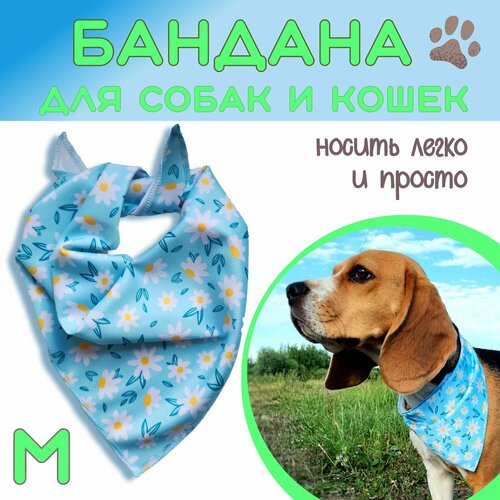 ���� ������� ��� ����� � �����, �������, M, ������ ������