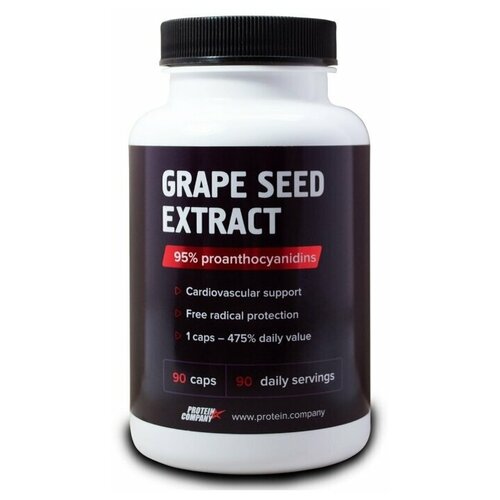   PROTEIN.COMPANY Grape seed Extract   , 90 , 250 , 90 .   -     , -  