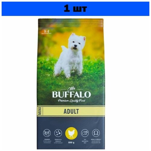      (MR.BUFFALO ADULT MINI)      800.   -     , -  