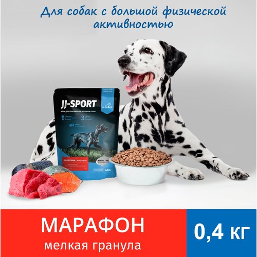    JJ-SPORT          ,   0.4    -     , -  