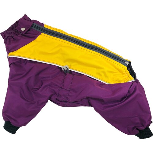 ���� ����������-���� ����������� 