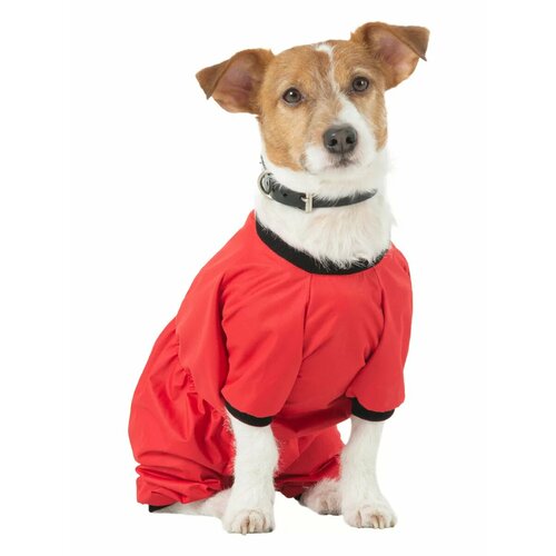 ���� �������! �������� - ���������� ��� ����� DOGMODA ������ (���� �������) ������� - ������� ������, �. 3, 28��, ������ ������