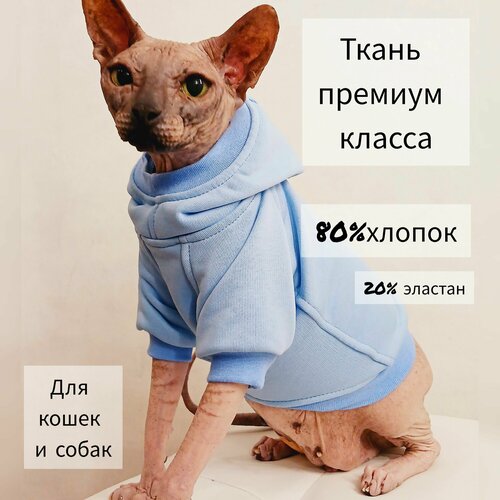 ���� ��������� � ��������� ��� ����� � ����� ������ ����� (�������), ������ ������