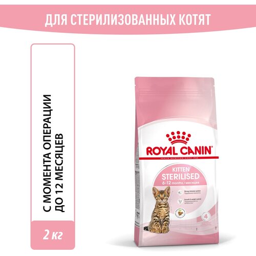      Royal Canin Kitten Sterilised ( )   , 2    -     , -  