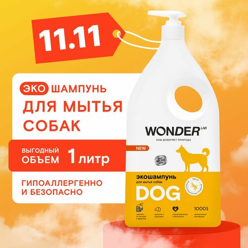    Wonder Lab            -     , -  