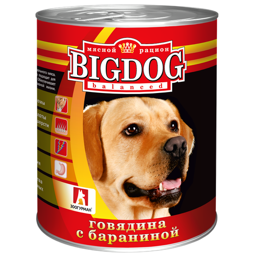      BIG DOG    (0492) 0,85  18945 (2 )   -     , -,   