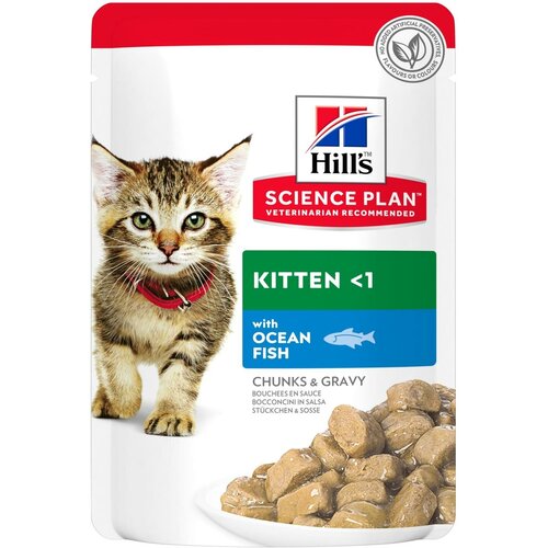  HILL'S SP Kitten Healthy Development  /   ,    -     , -  