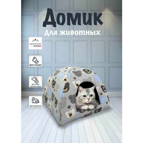 ���� ����� ��� ����� � ����� ������ ����� 03, ������ ������