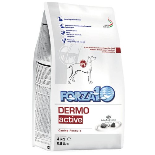      Forza10 Active,    1 .  1 .  4000    -     , -  