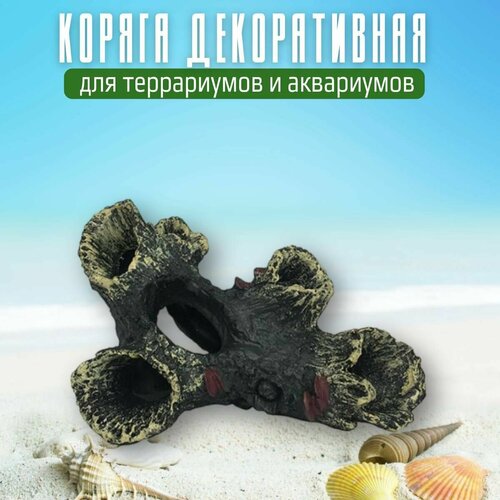 ���� ��������� 