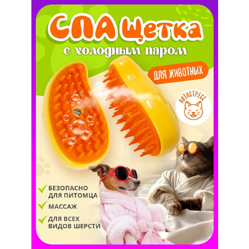 ���� ��� ����� ������� ��� ����� � ����� 3 � 1 ��� ����� �� �������, ������ ������