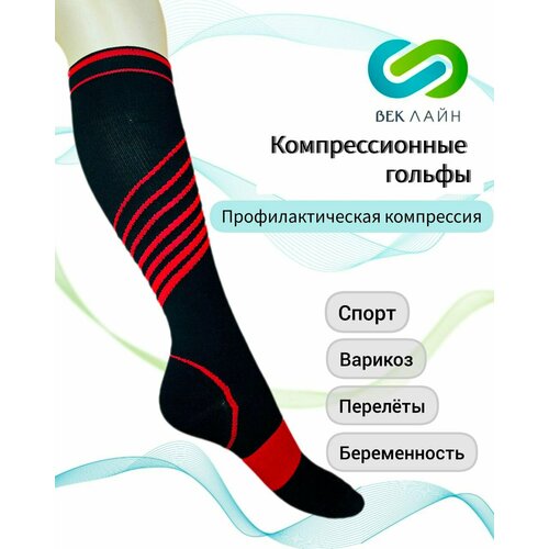 ���� ������ �������������� ����������������, 3 ������, �����-�������, ������ ������