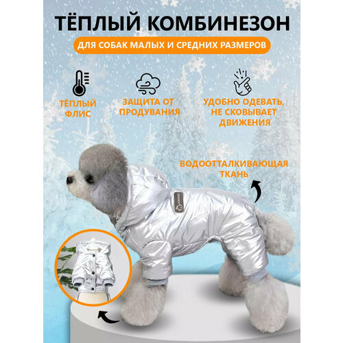 ���� ���������� ��� ����� ������ ������ � ���� �����, ������ ������