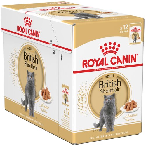      Royal Canin    12 .  85  (  )   -     , -  