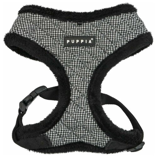  Gaspar harness A   -     , -  