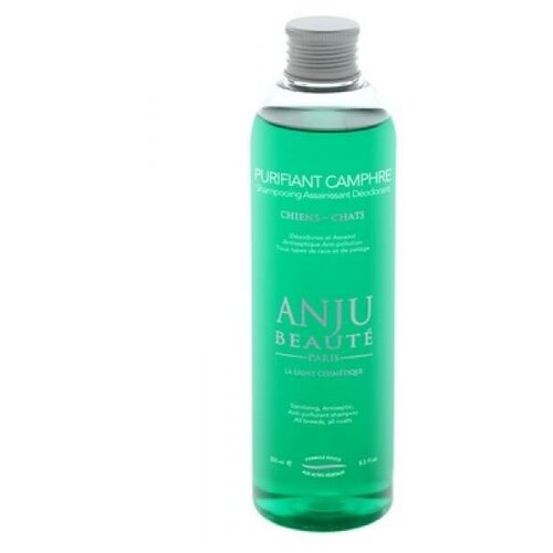  Anju Beaute    :     (Purifiant Camphre Shampooing) (AN704) | Purifiant Camphre Shampooing, 0,26    -     , -,   