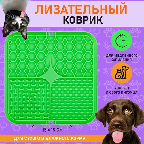 ���� ����������� ������ ��� ����� � �����, ������ ��� ���������� ���������, ������ ������