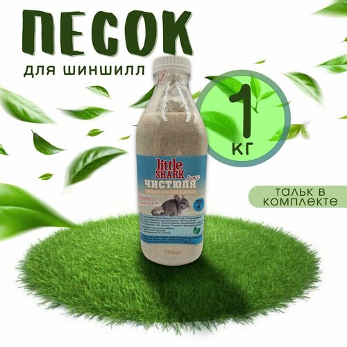 ���� ����� ��� ������� �������, �������, ����, ��������, �������� 1 ��, ������ ������