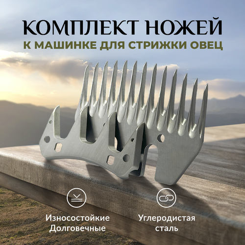 ���� ���� ������� � ������� ��� ������� ����, ��������, ������ ������