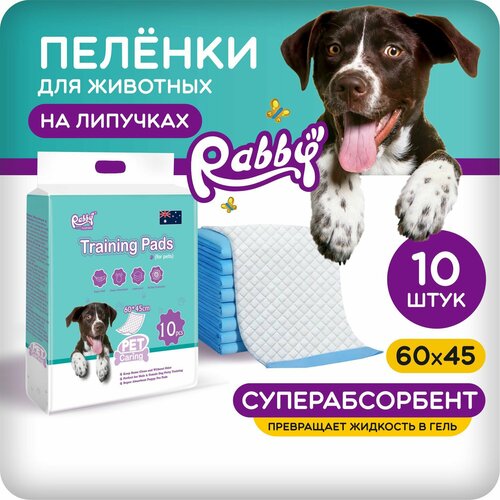      RABBY 60x45   10   -     , -  