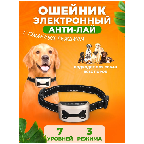 ���� ����������� ������� ������� ��� �����, ������������, �����������, � �����-��������, ������ ������