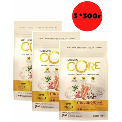    Wellness CORE 10725   -     , -,   