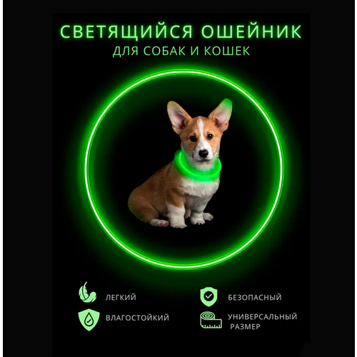 ���� ������� ������������ ��� ����� ����������, ��� ������, usb �������, ������ ������