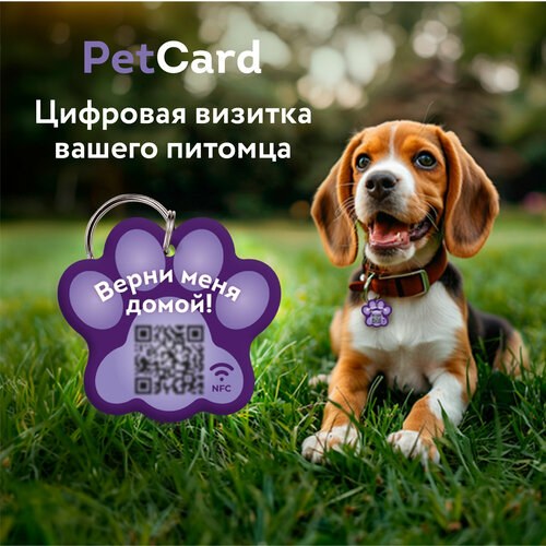   PetCard      QR   NFC, .   -     , -  