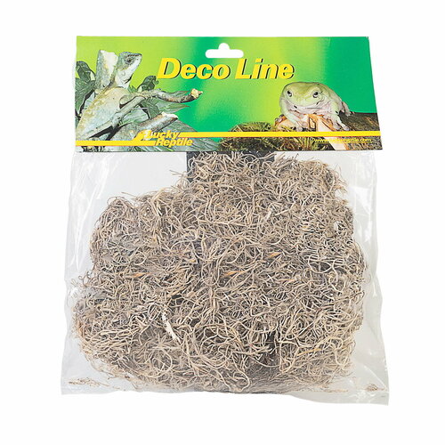 ���� ��� ��������� ��� ���������� LUCKY REPTILE 