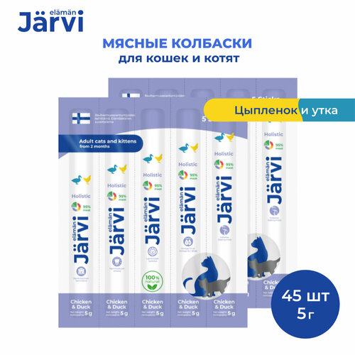  Jarvi           45   1 .,  