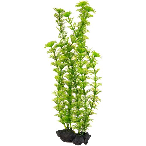   Tetra DecoArt Plant Ambulia () 30    -     , -,   