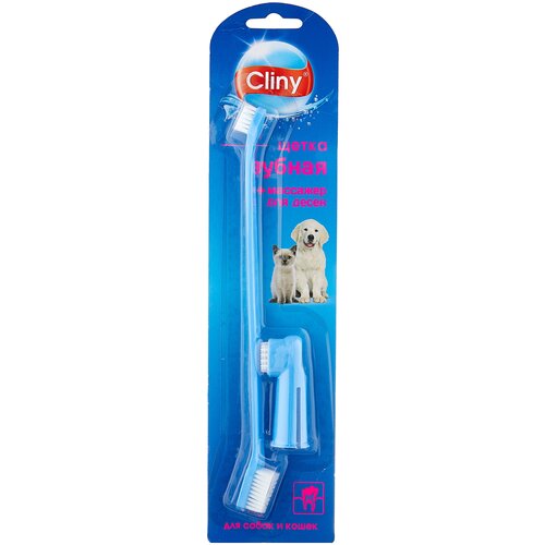 ���� ������ ����� Cliny , 25 �, ������ ������