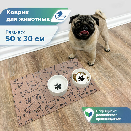 ���� ������ ��� �������� ��� ����� ����������������� ���������� 