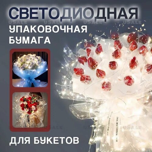 ���� ������������ ���������� ����������� ���������� ������ ���������� ���������� ��� ������ ����������, ������ ������