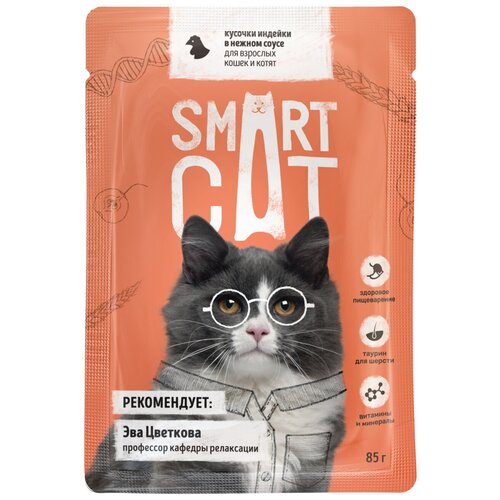  Smart Cat -     ,      85 pp59993  25    -     , -,   
